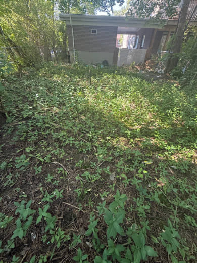 SIG Construction landscaping project photo 396