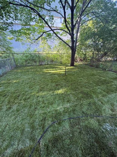 SIG Construction landscaping project photo 405