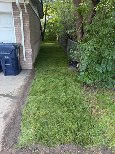 SIG Construction landscaping project photo 408