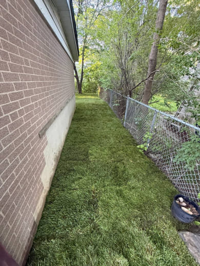 SIG Construction landscaping project photo 409
