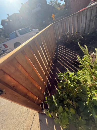 SIG Construction landscaping project photo 75